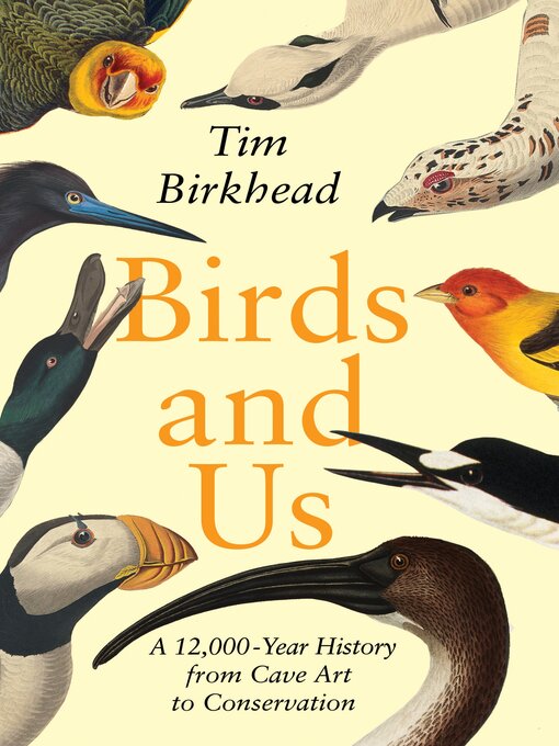 Cover image for Birds and Us